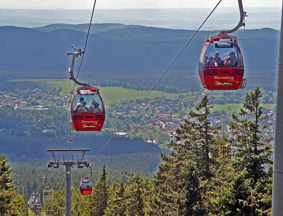 Appartement Brinkmann Braunlage Kültér fotó